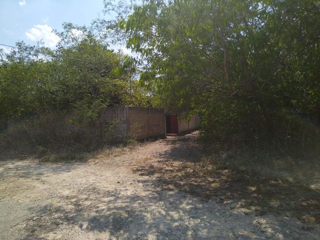 place photo 27