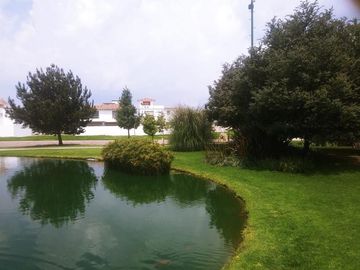place photo 43