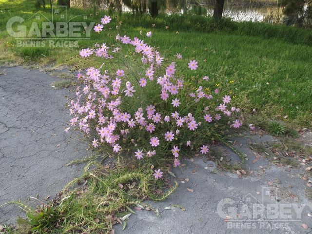 place photo 34