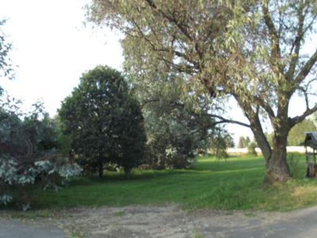 place photo 19