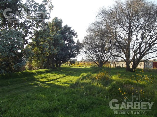 place photo 28