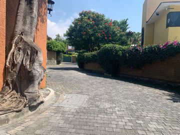place photo 30