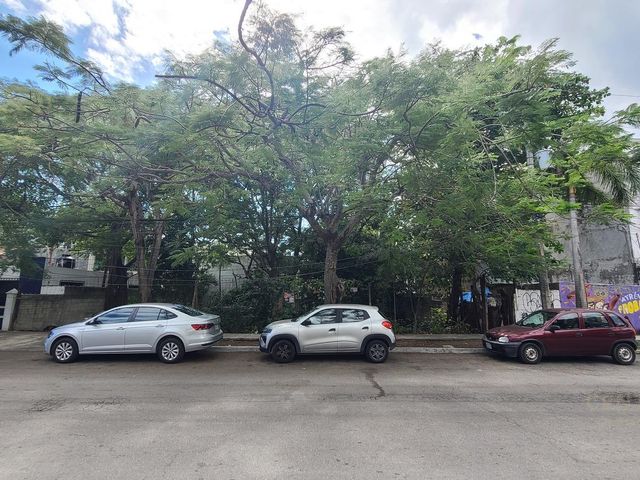place photo 16