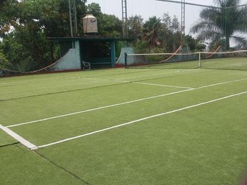 place photo 24