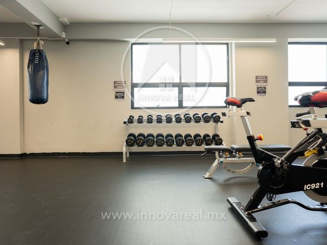 place photo 46