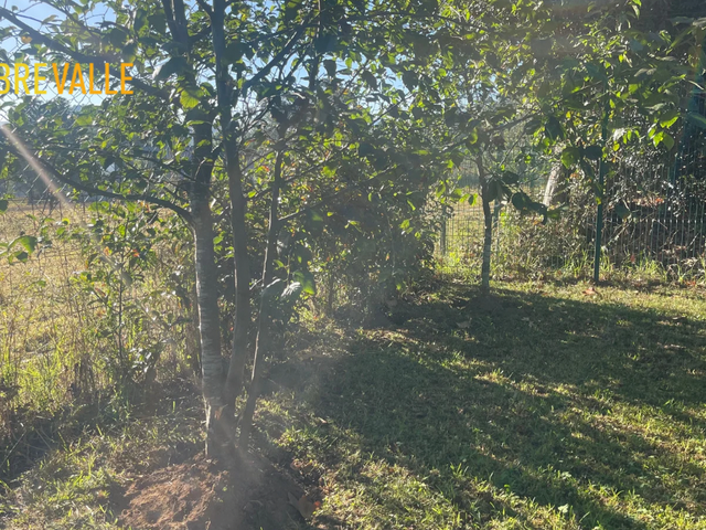 place photo 13