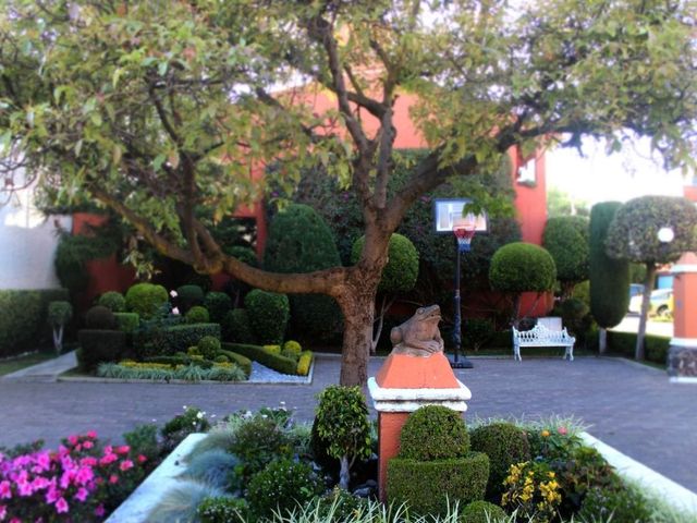 place photo 24