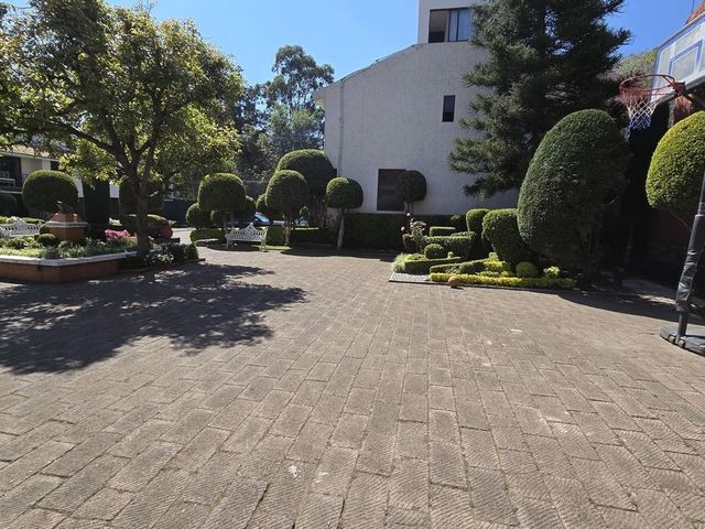 place photo 25