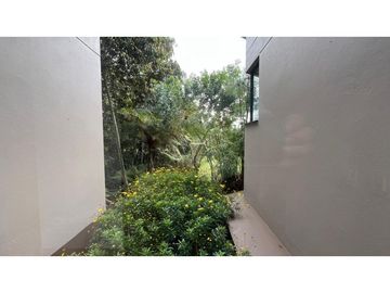 place photo 60