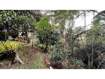 place photo 85