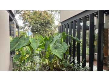 place photo 59