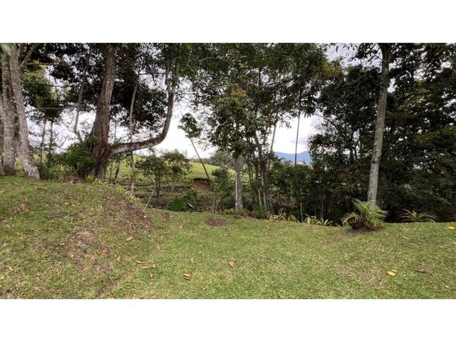 place photo 84