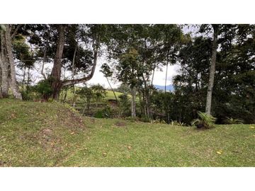 place photo 84