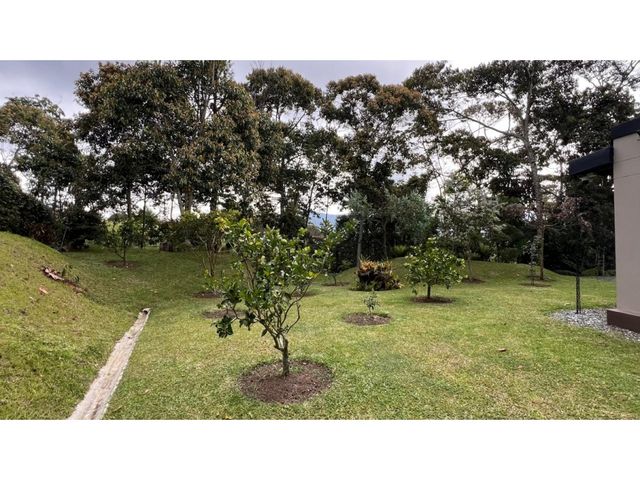 place photo 86