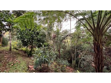 place photo 74