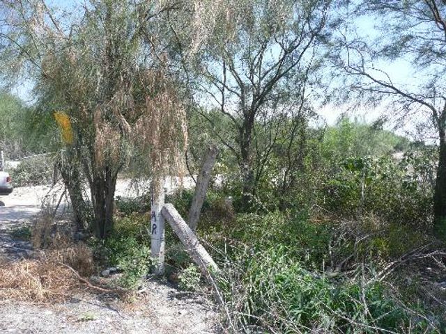TERRENO 4.6 HAS SALINAS VICTORIA, N.L.