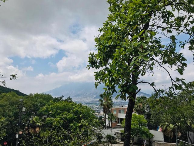 place photo 26