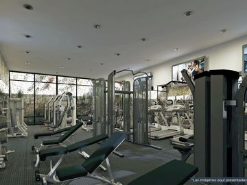 place photo 39