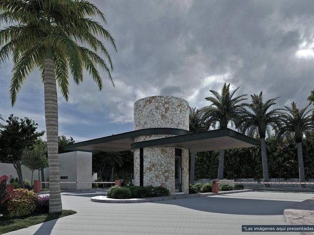 place photo 28