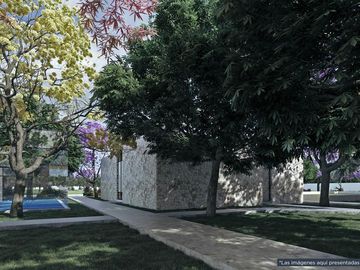 place photo 38
