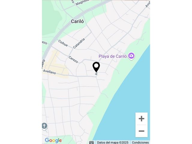 place photo 14