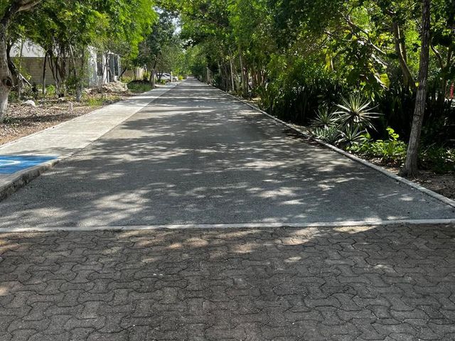 place photo 23