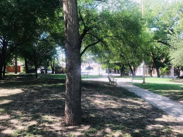 place photo 23