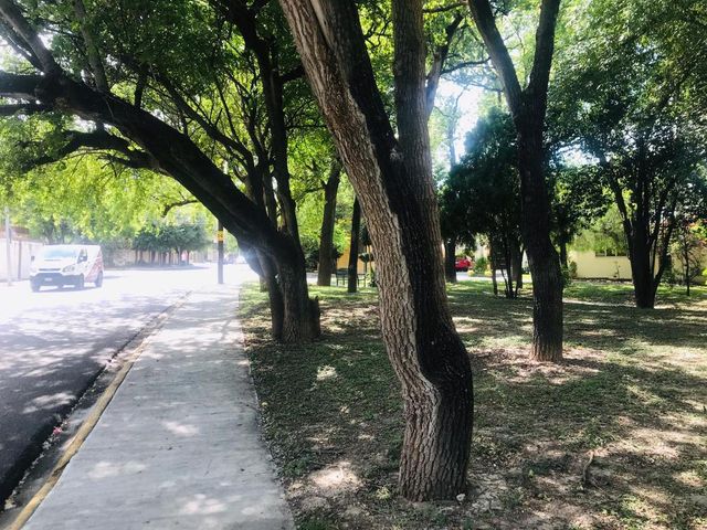 place photo 24