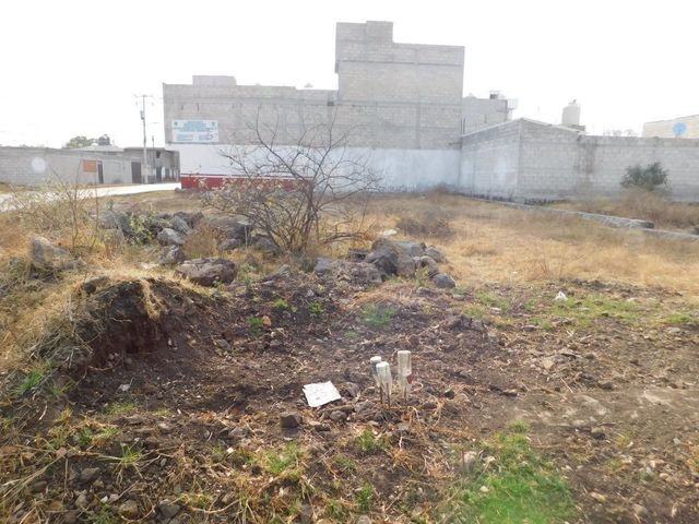 place photo 5