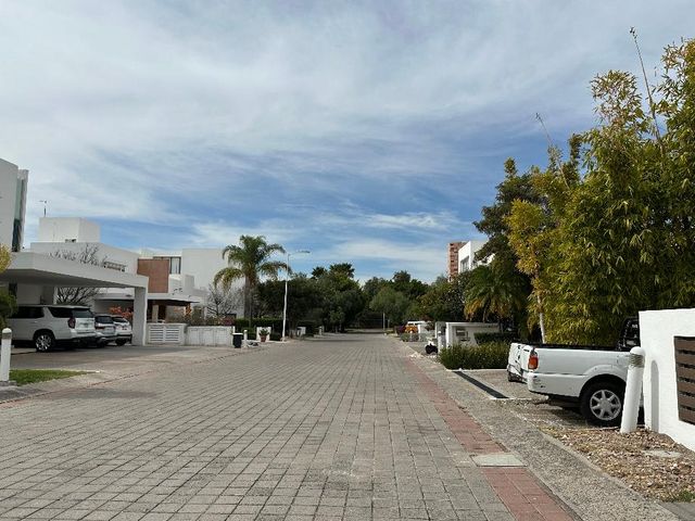 place photo 37