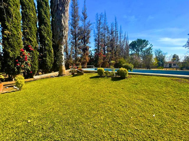 place photo 39