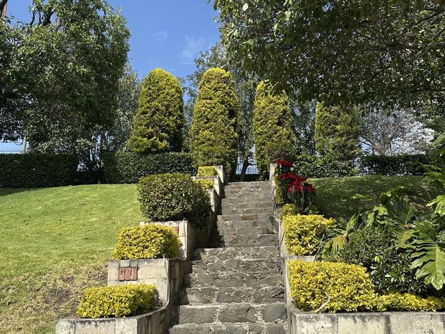 place photo 29