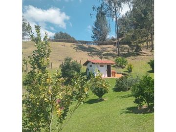 place photo 82