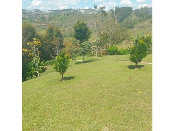 place photo 93