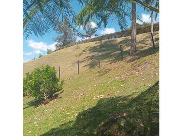 place photo 78
