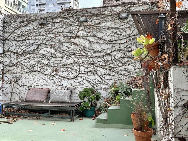 place photo 34
