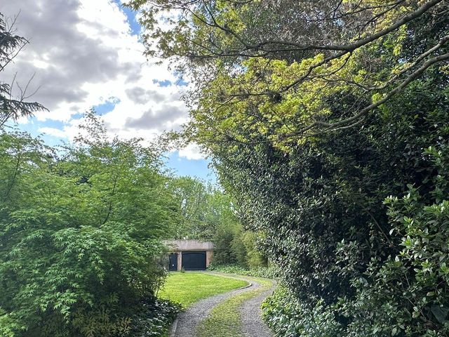 place photo 44
