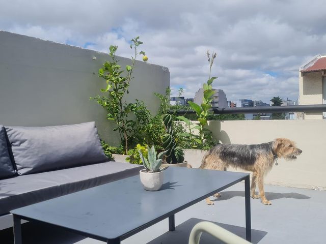 place photo 24