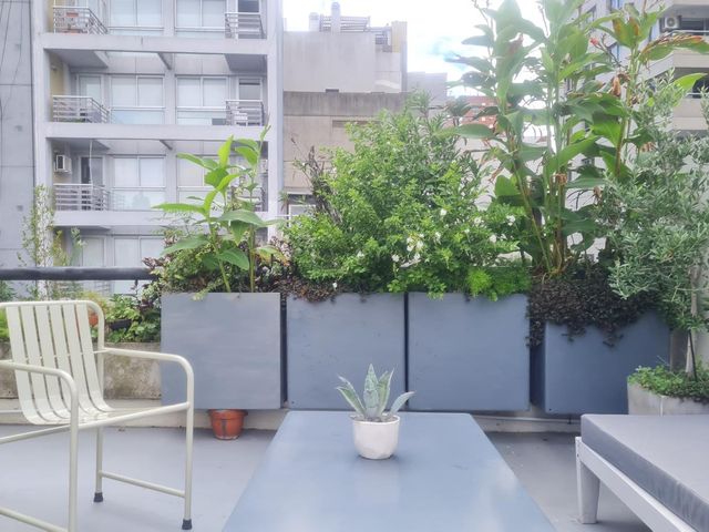 place photo 20