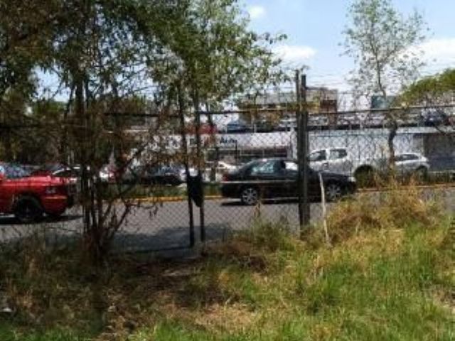 place photo 7