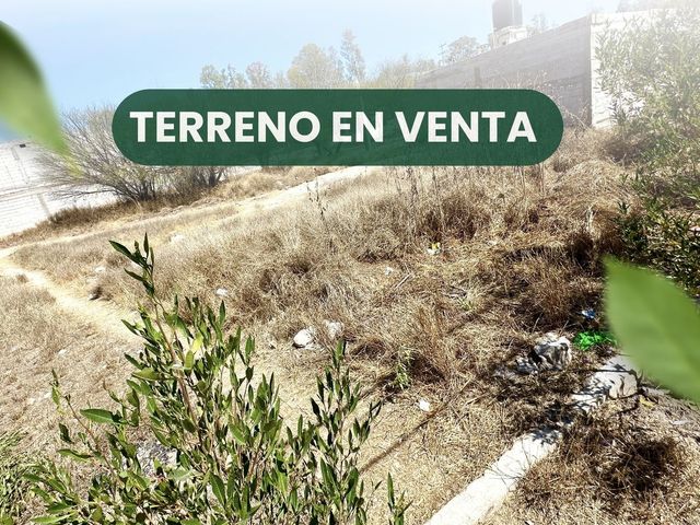TERRENO EN VENTA EN COL LA ANTENA TEQUISQUIPAN | Impatiens