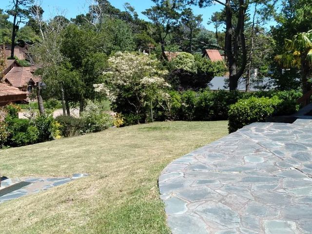place photo 62