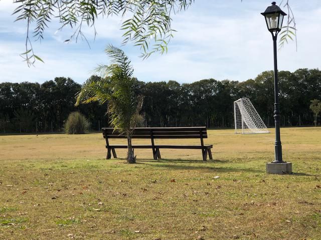 place photo 20