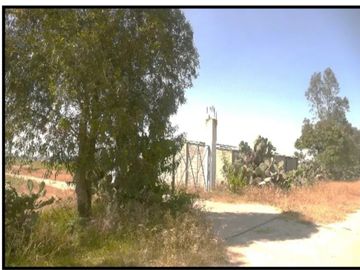 place photo 28