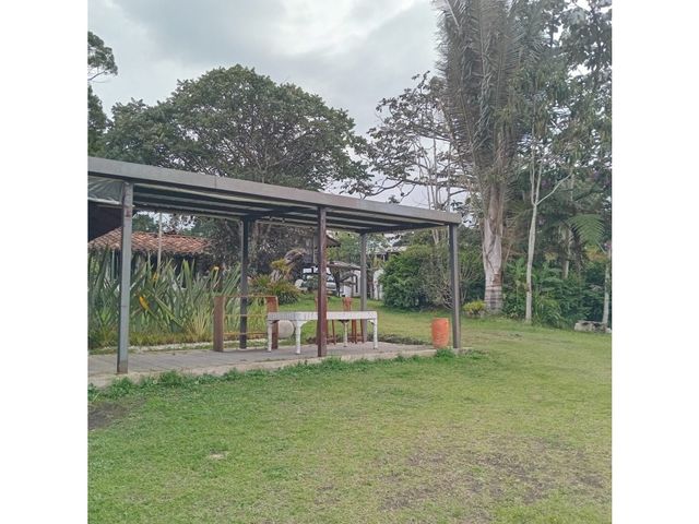 place photo 48