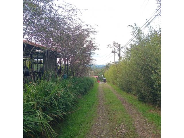 place photo 49