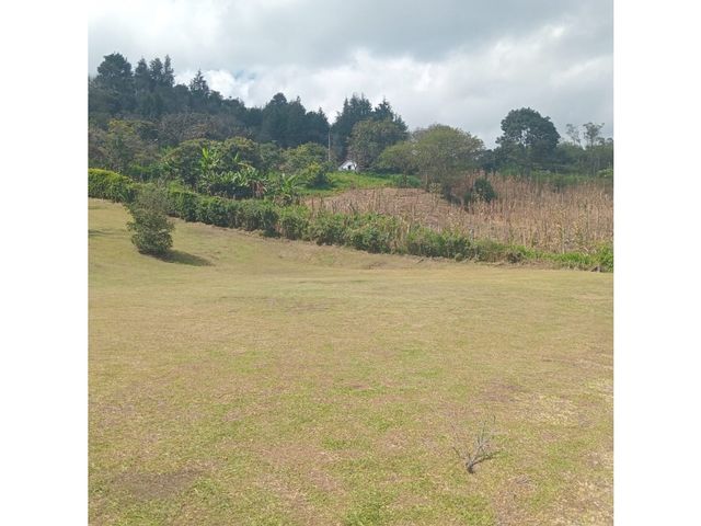 place photo 52