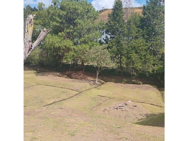 place photo 39