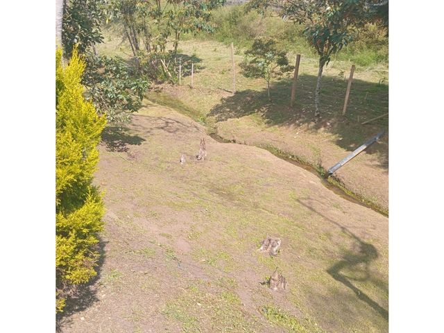 place photo 51