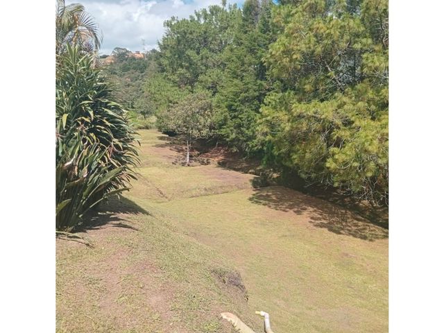 place photo 42